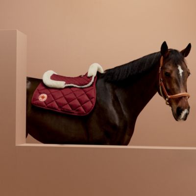 Equestrian world and traditional saddlery | Hermès Canada